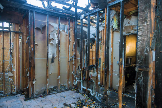 Professional Fire Damage Repair technician working in Balm, FL