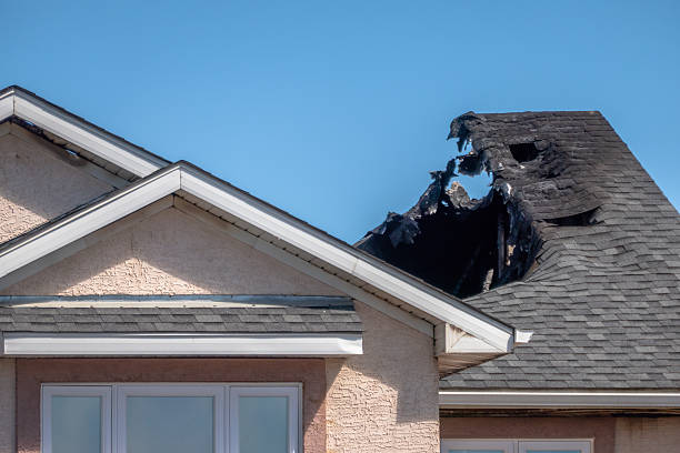 Top rated local Fire Damage Repair specialists in Balm, FL